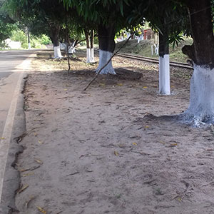 sustentabilidade-15 (1)
